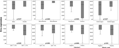 Galectin-3 and Estrogen Receptor Alpha as Prognostic Markers in Prolactinoma: Preliminary Results From a Pilot Study